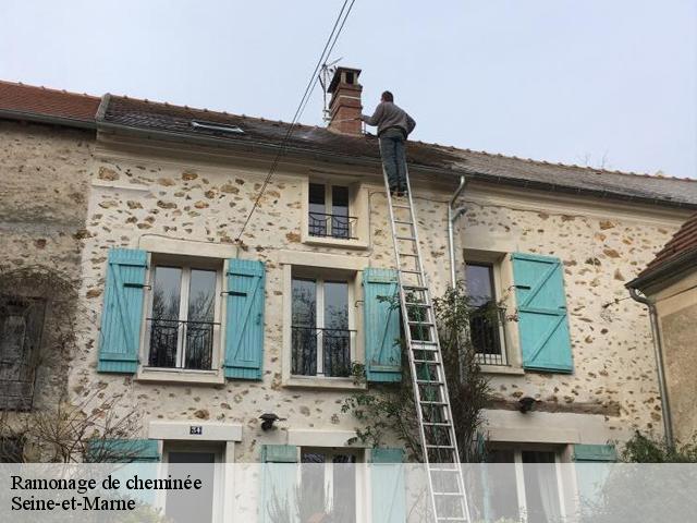 Ramonage de cheminée Seine-et-Marne 