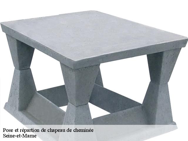 Pose de chapeau de cheminée Seine-et-Marne