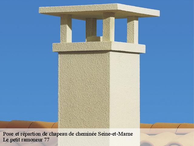 Pose et répartion de chapeau de cheminée - Le petit ramoneur 77
