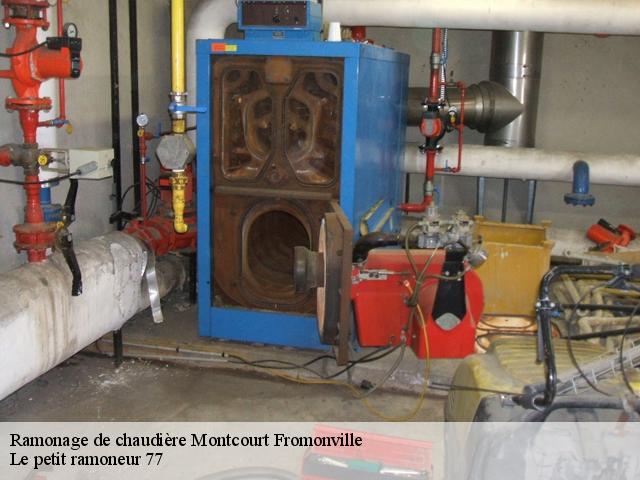 Ramonage de chaudière - Le petit ramoneur 77