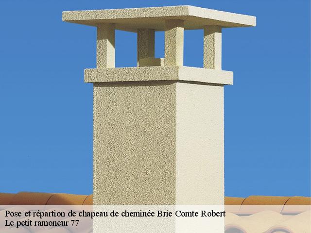 Pose et répartion de chapeau de cheminée - Le petit ramoneur 77