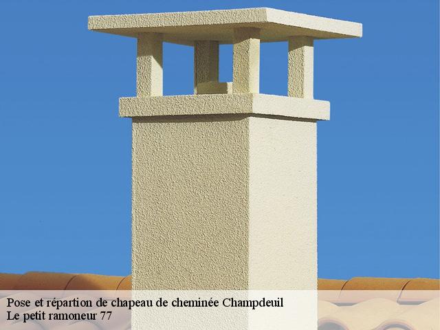Pose et répartion de chapeau de cheminée - Le petit ramoneur 77