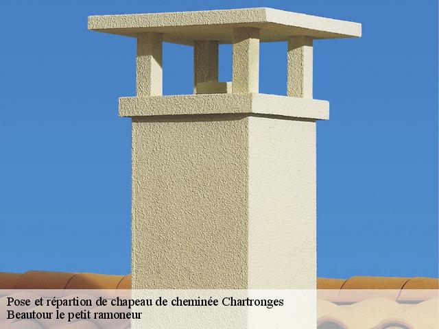 Pose et répartion de chapeau de cheminée  chartronges-77320 Beautour le petit ramoneur