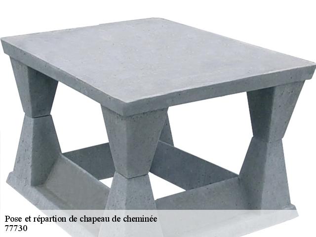 Pose et répartion de chapeau de cheminée - Le petit ramoneur 77