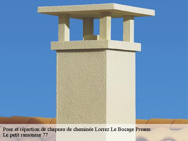 Pose et répartion de chapeau de cheminée - Le petit ramoneur 77