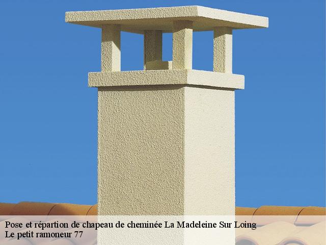 Pose et répartion de chapeau de cheminée - Le petit ramoneur 77