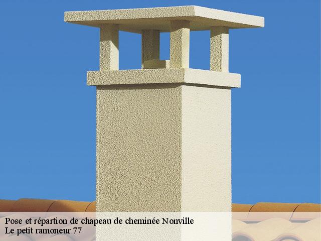 Pose et répartion de chapeau de cheminée - Le petit ramoneur 77