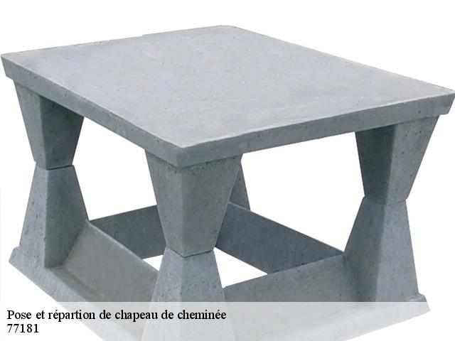 Pose et répartion de chapeau de cheminée 77181