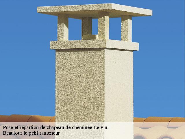 Pose et répartion de chapeau de cheminée le-pin-77181 Beautour le petit ramoneur