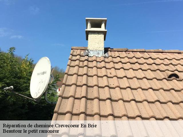 Réparation de cheminée  crevecoeur-en-brie-77610 Beautour le petit ramoneur