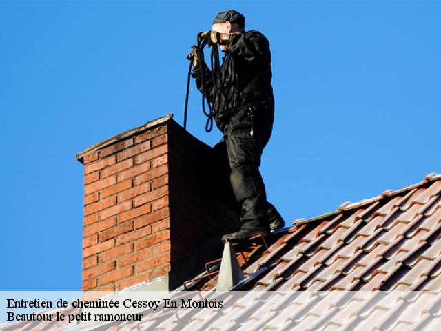 Entretien de cheminée  cessoy-en-montois-77520 Beautour le petit ramoneur