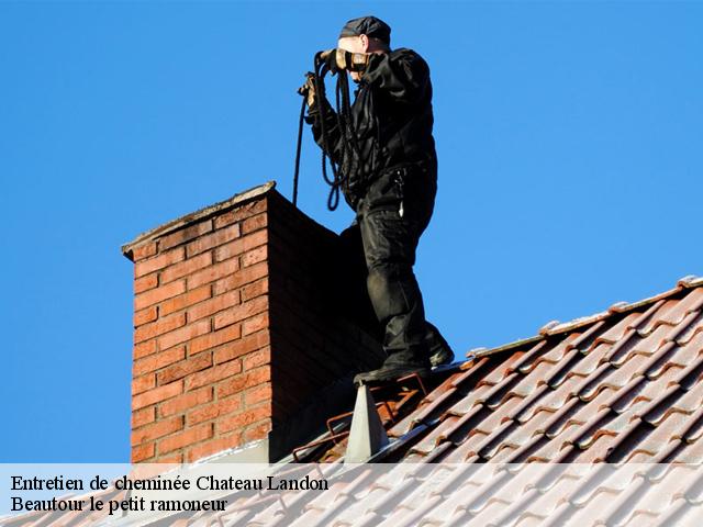 Entretien de cheminée  chateau-landon-77570 Beautour le petit ramoneur